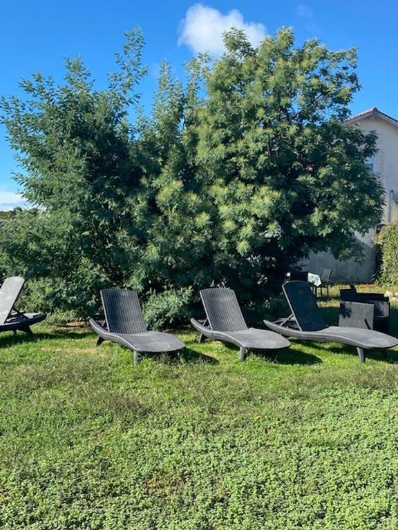 Comme Une Evidence Gite Et Chambres D'Hotes Saint-Vincent-sur-Jard Exterior photo